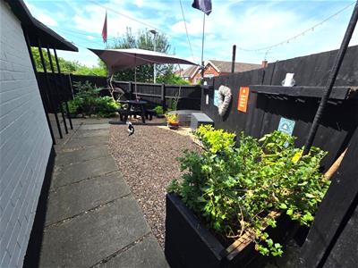 Picture 15